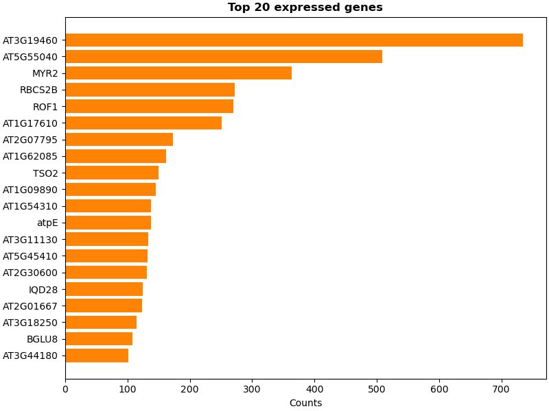 Top 20 expressed genes