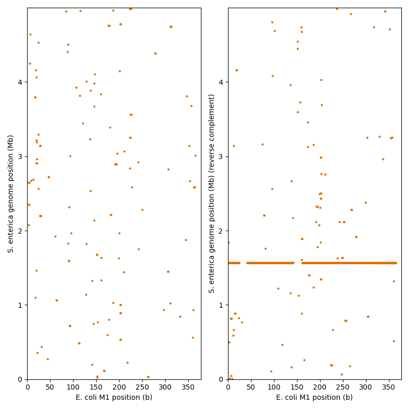 genome search