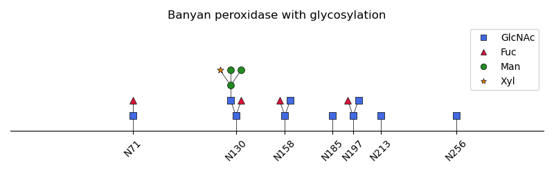 Banyan peroxidase with glycosylation