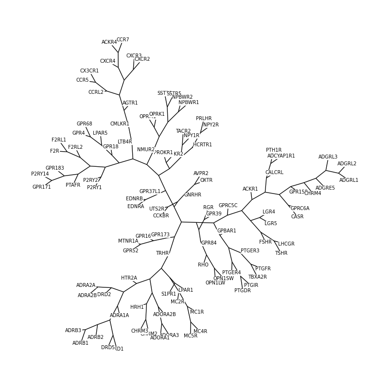 gpcr evolution