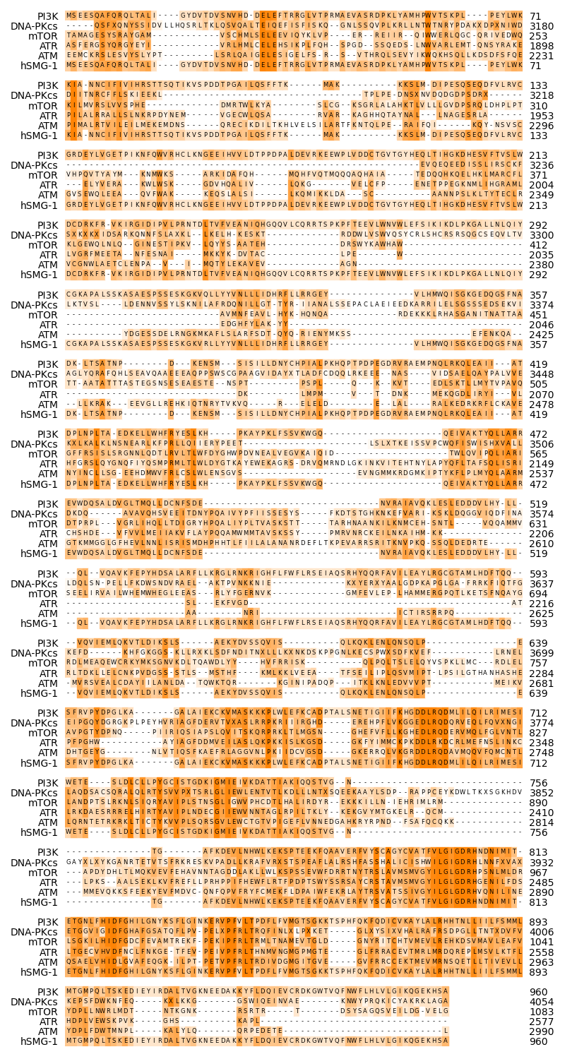 pi3k alignment