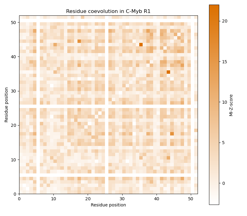 Residue coevolution in C-Myb R1