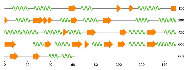 transketolase sse