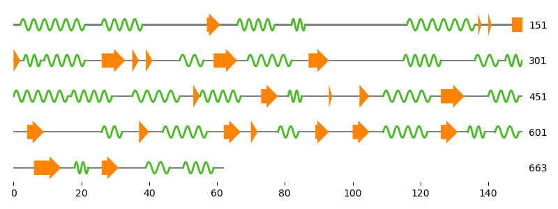 transketolase sse